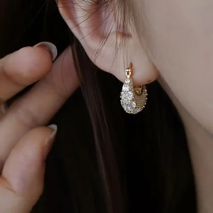 Earrings